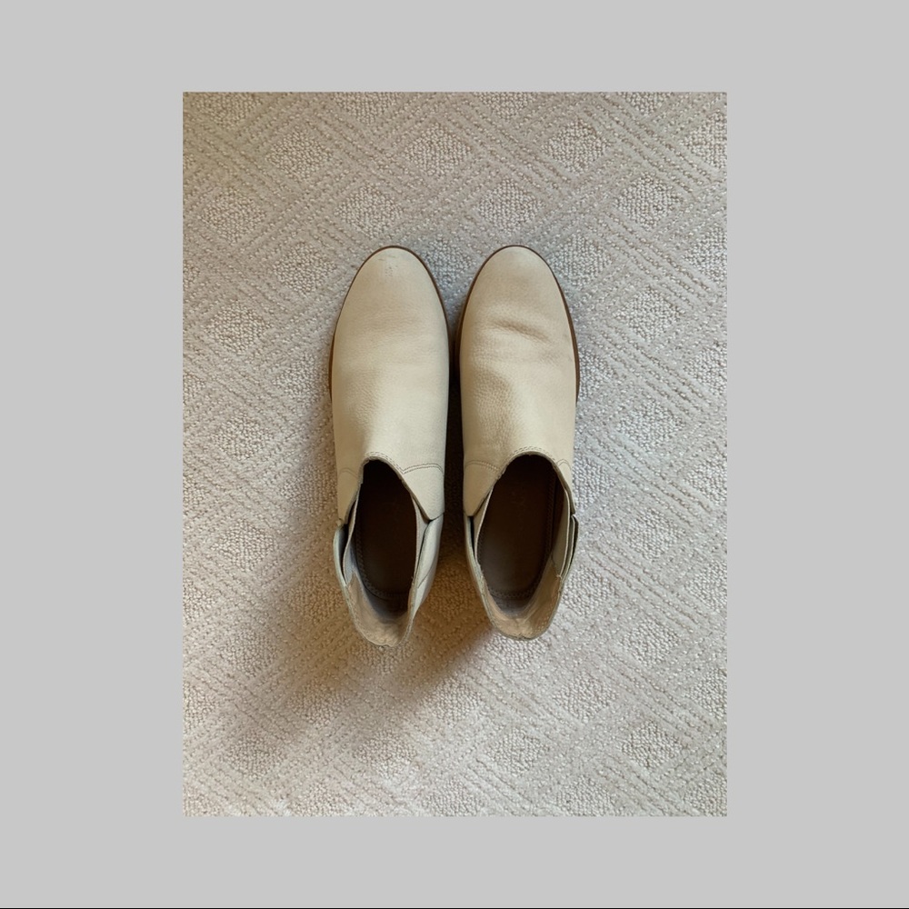 Splendid Booties